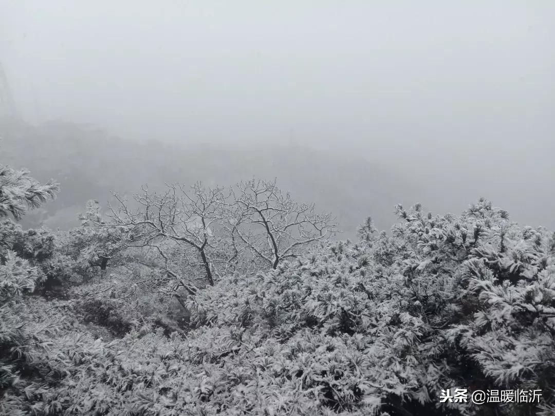 雪后的临沭小城，美得令人窒息