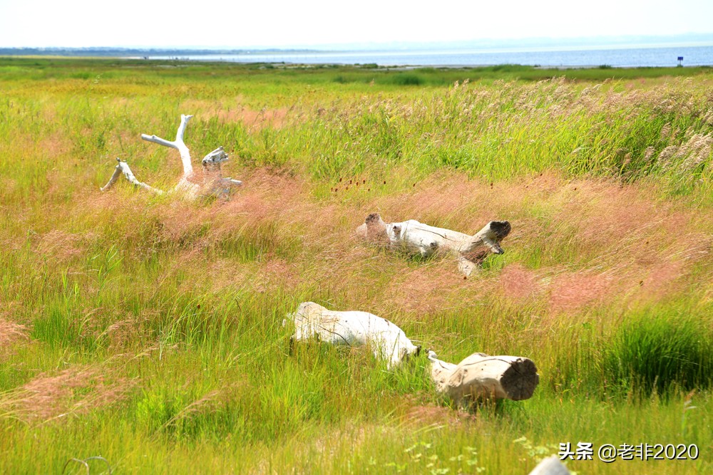 河北草原天路自驾游好玩攻略,内蒙古玩草原最佳路线