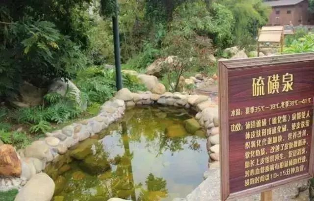 博罗怡情谷温泉度假村在哪个镇,惠州博罗怡情谷温泉度假村简介