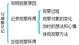 部编版3年级必背知识点,部编版语文1-6年级知识与积累