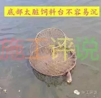 南美白对虾浮游怎么回事,南美白对虾为什么一直跳出水面