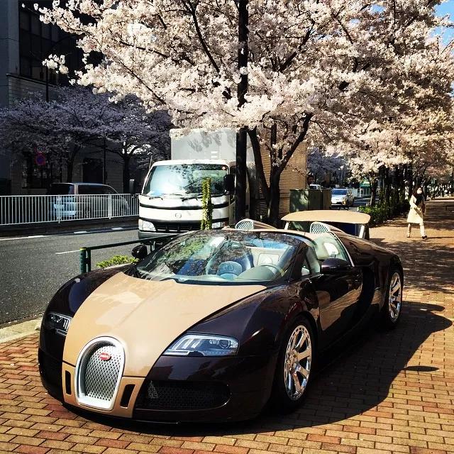 日本百亿富豪征婚,日本千亿富豪征婚条件