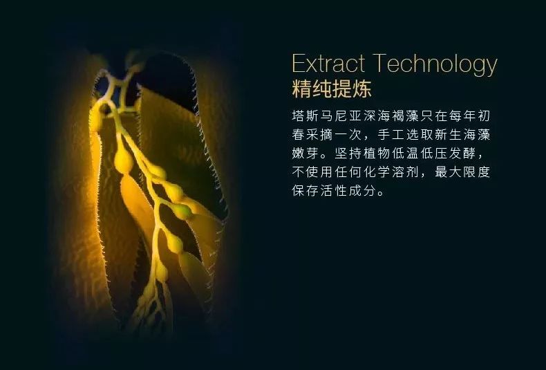 深海四十噚褐藻面霜怎么用,unichi深海四十噚面霜测评