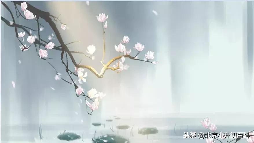 论语的30个成语典故助你修身养性,论语中暗藏的125个成语典故