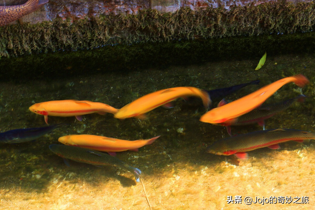 北京郊区有什么好地方玩,北京郊区有什么沟