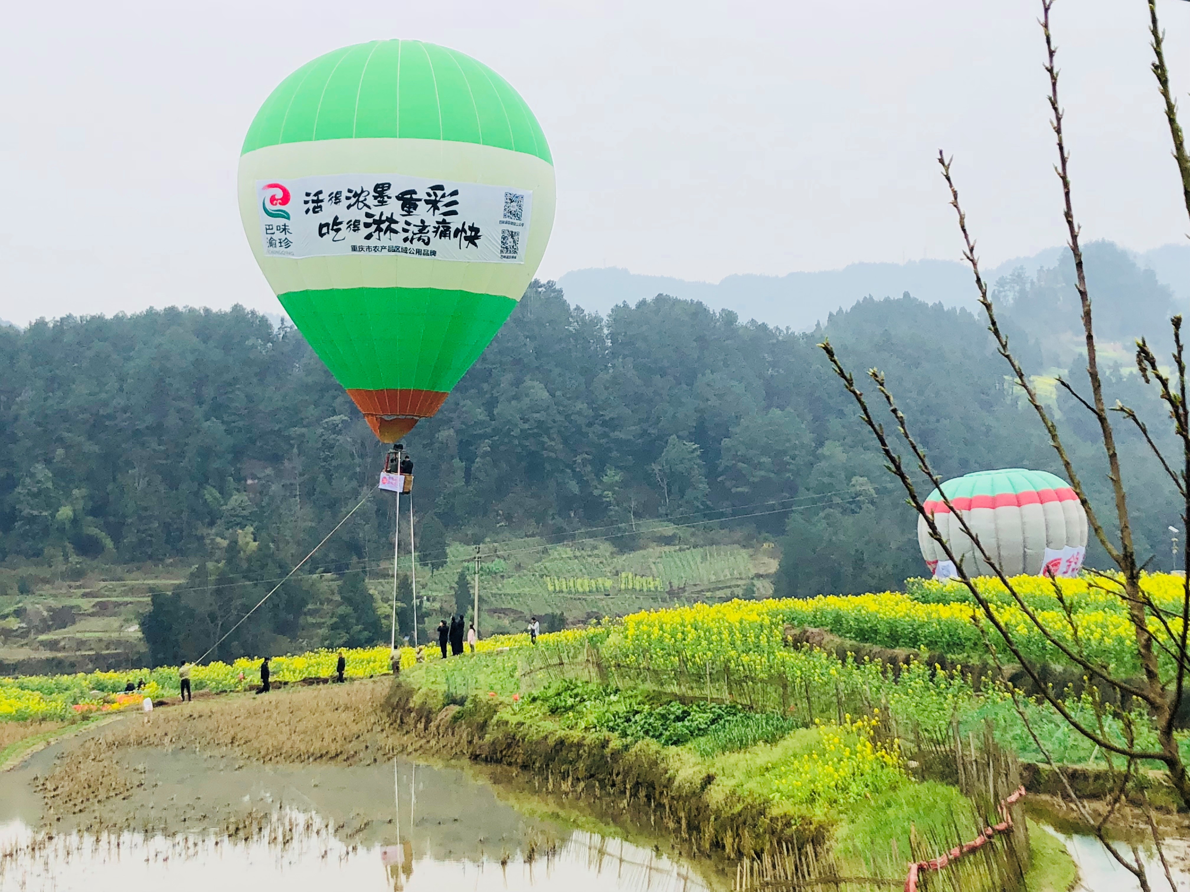 在空中看花海是一种怎样的体验?巴南石滩带你飞!