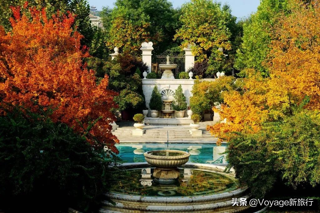 每一个打工贵族都不曾拥有的“贵族的一餐”