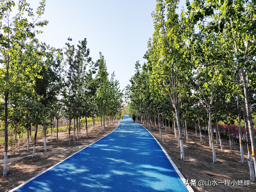 石家庄裕华区漫步云端,石家庄西三环哪里风景最好