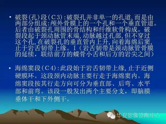 小脑血管解剖分段,脑血管影像解剖讲解