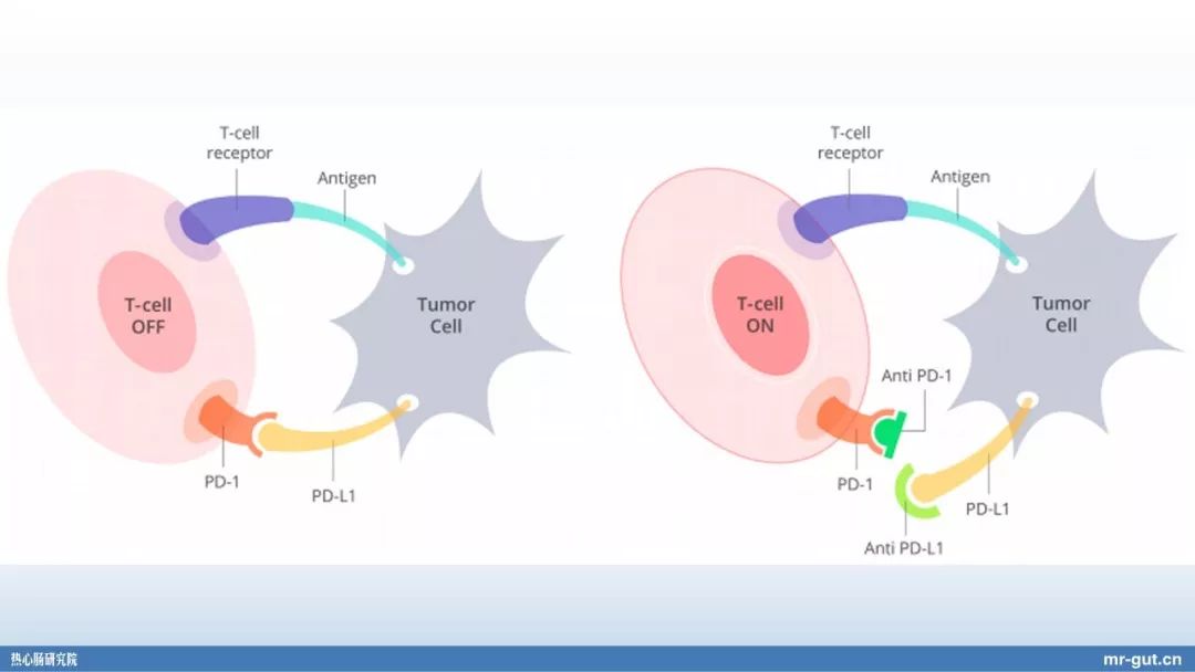 热心肠先生益生菌视频大全,热心肠先生全集