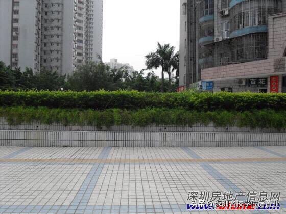 最新深圳百花片区学位房,深圳市福田区百花片区学位房