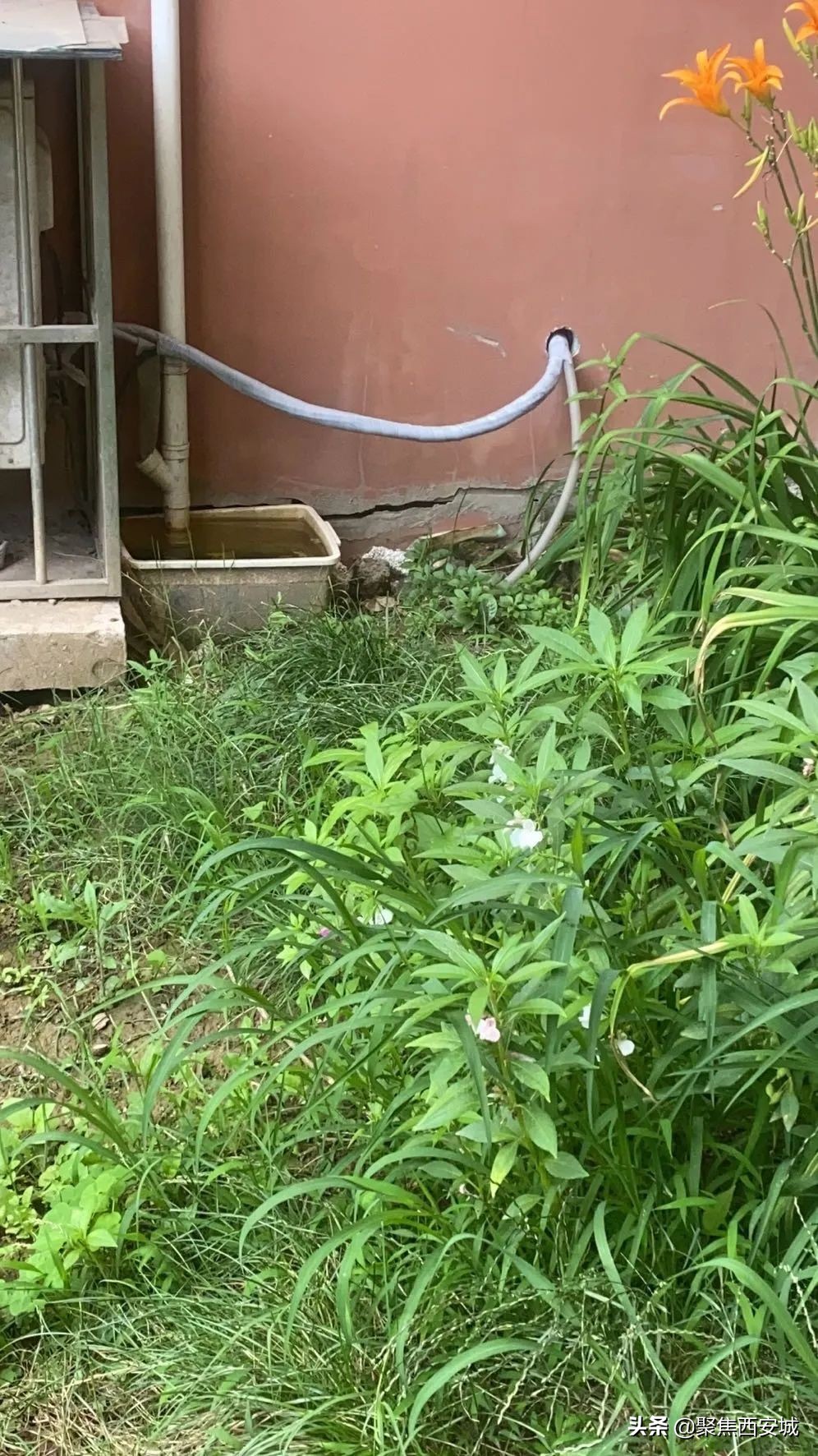 三星地产：你们家房子裂缝了，你知道吗？||华宇蓝郡事件