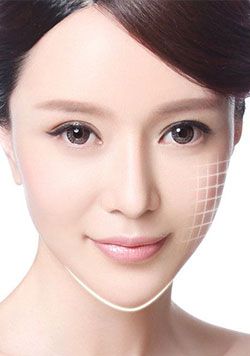 容颜容易老完整版,容颜易老上一句