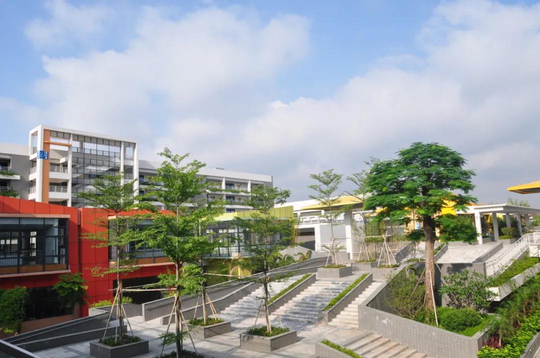 桂城2所小学上榜​广东省文明校园先进学校名单！