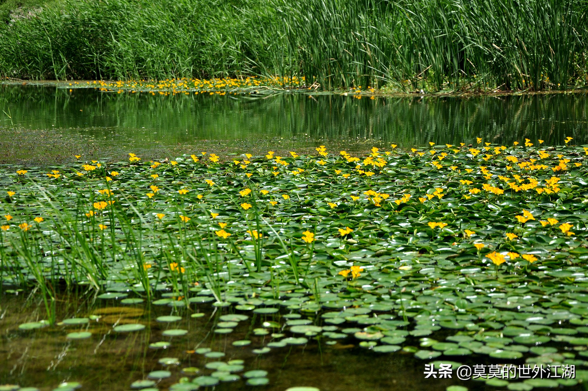 密云水库徒步旅游攻略,北京密云树林旅游攻略