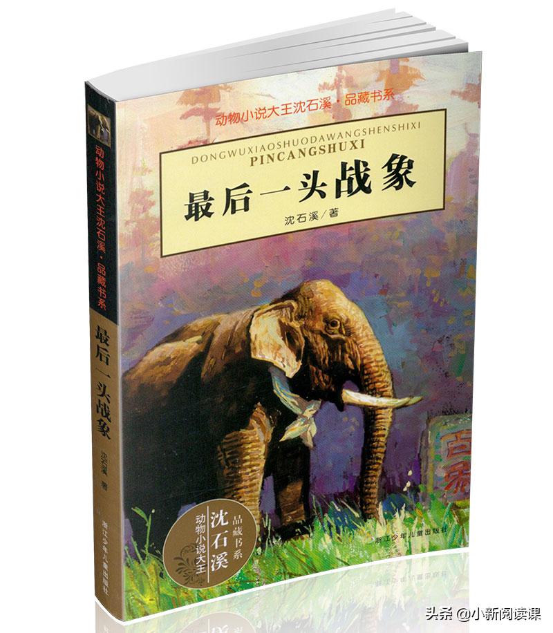 动物小说大王沈石溪经典代表作,动物小说大王沈石溪都有哪些系列