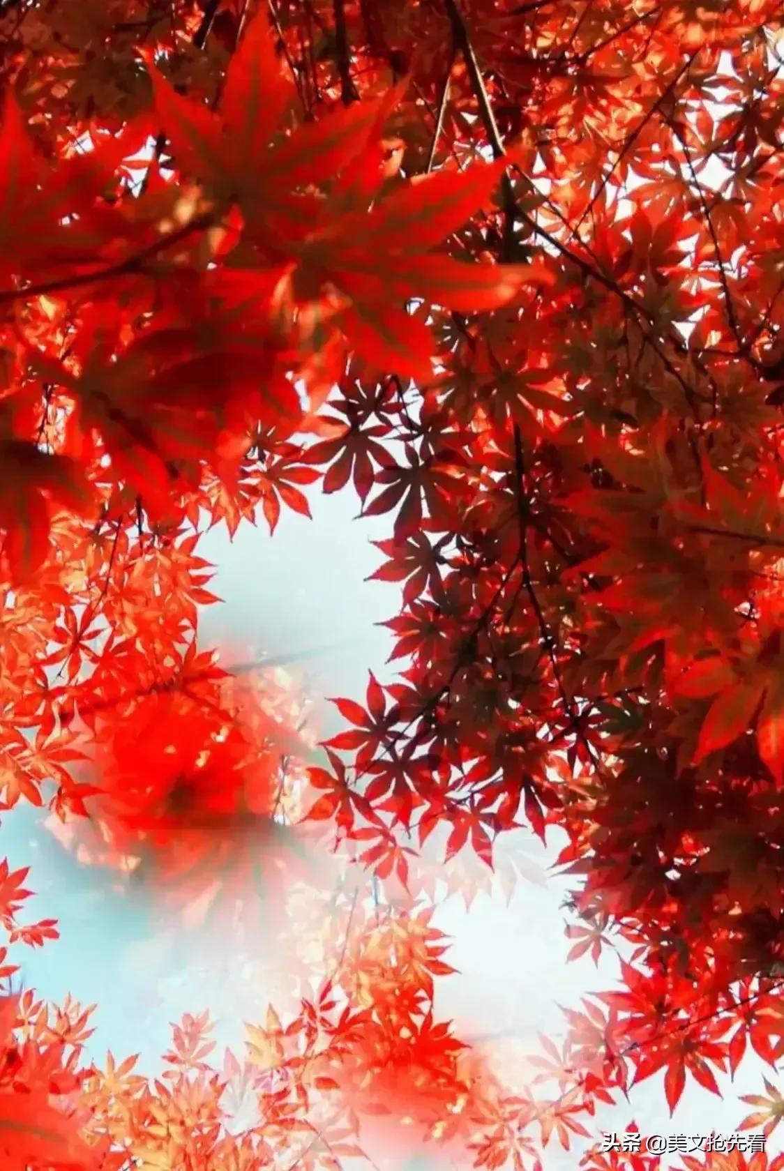 秋天到家乡,秋天在我身边走过