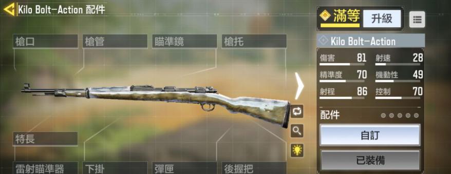 使命召唤枪械视角怎么调,枪械自动定规