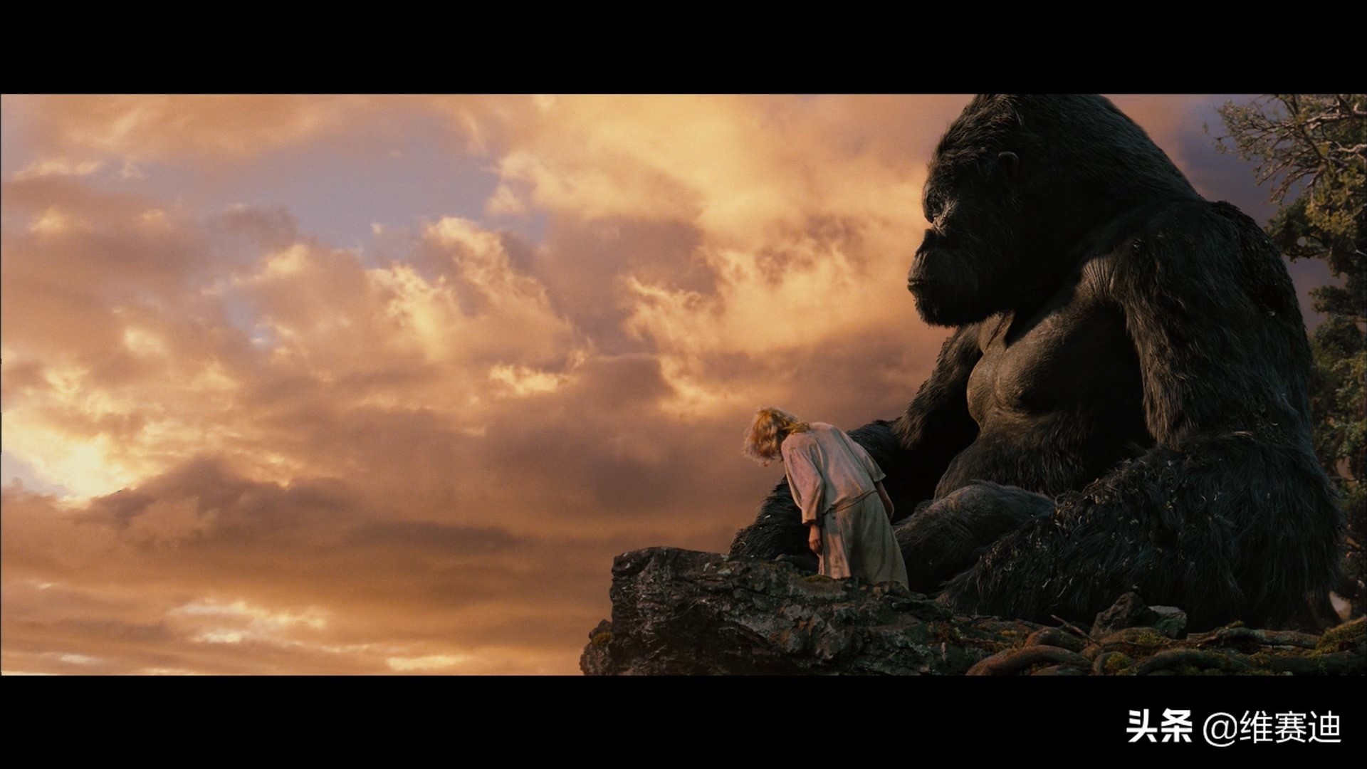 金刚电影各种怪兽排名,金刚骷髅岛大战怪兽电影