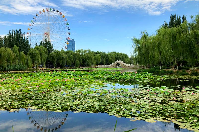 宁夏地区夏季哪里最凉快,宁夏是不是避暑胜地