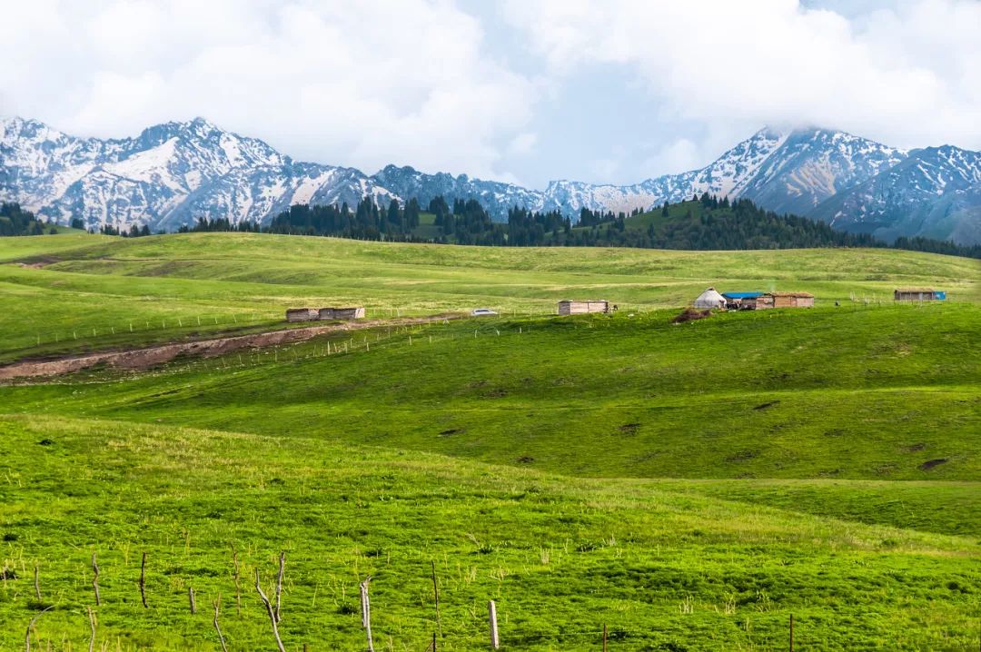 六月的北疆哪些地方值得去,六月的北疆解说