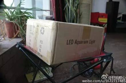 KELO钜彩照明LED水族灯试用活动鱼友评测详情(二)