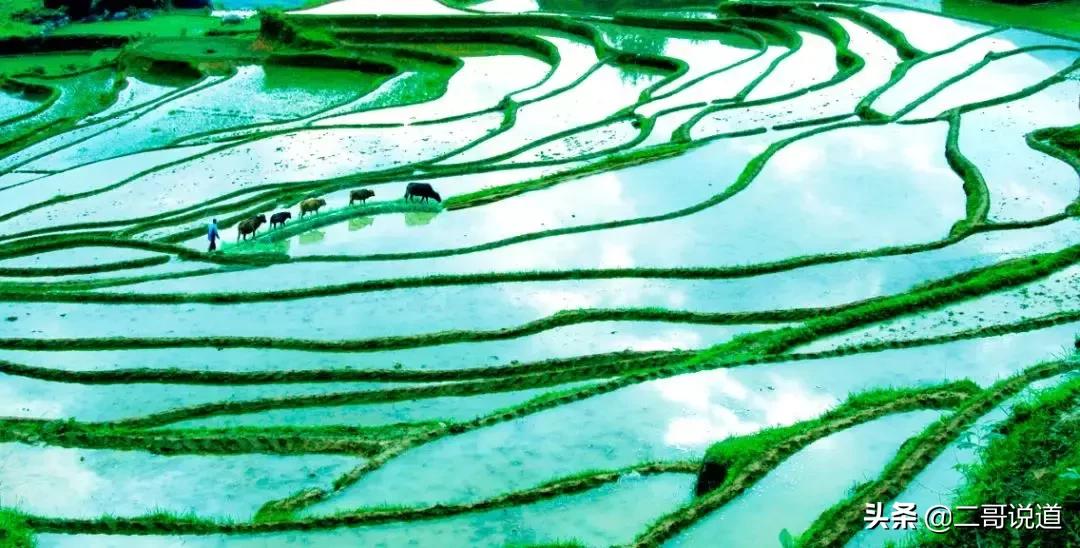 浙江看星空的露营地,浙江可以开车上去露营的山