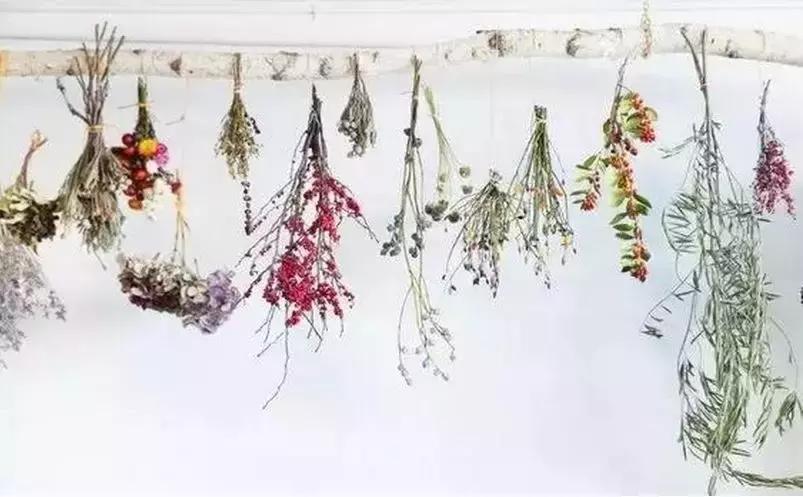 情人节收到的花别扔,情人节花别丢