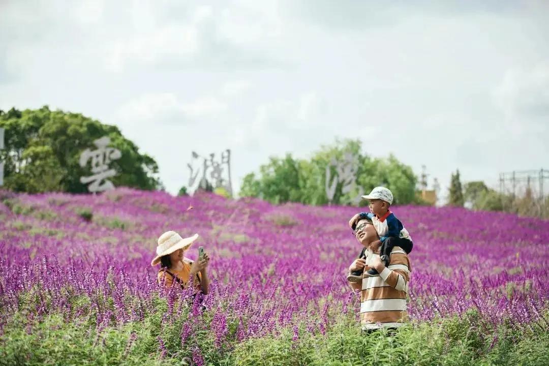 厉害了浙江嘉善00后,实力嘉善