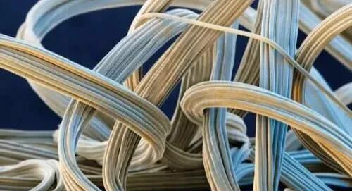 腰腿痛的埋针治疗全过程,埋药疗法治腰疼