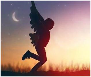 科学家未解的四大之谜,四个已经解开的未解之谜