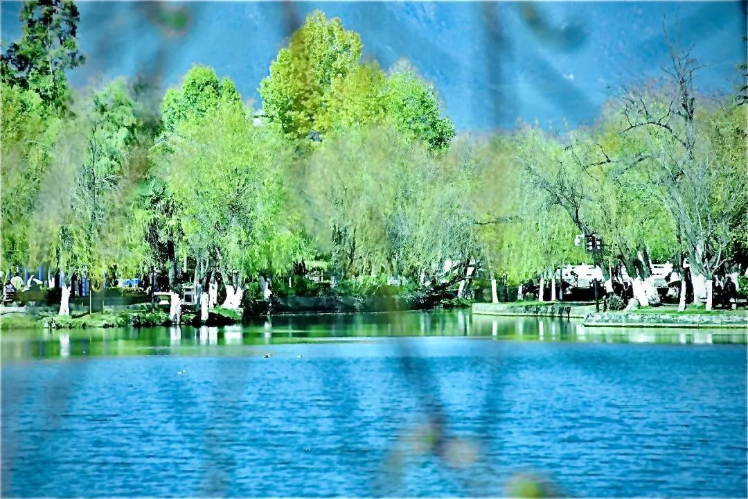 25张照片丽江,20张图片带你看世界