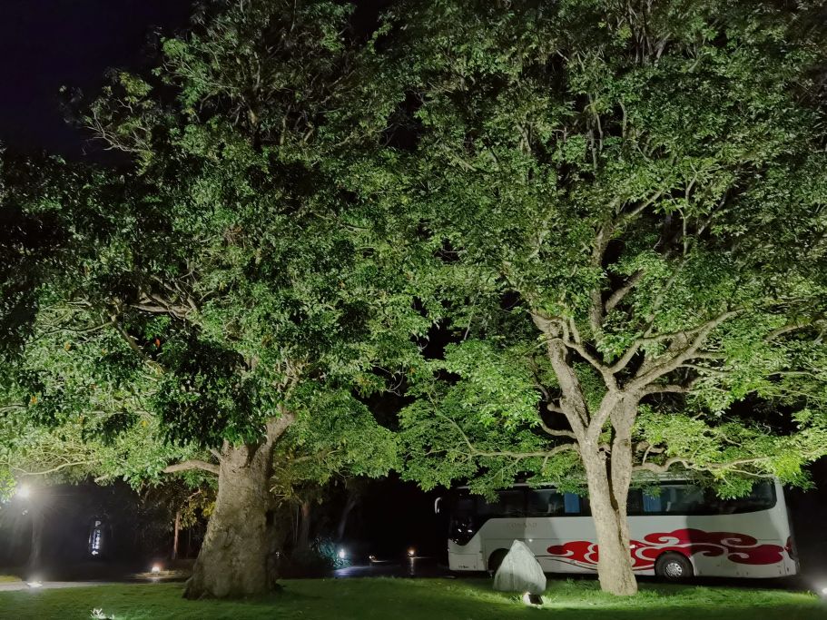 三亚海棠湾希尔顿酒店推荐,三亚酒店测评亲子