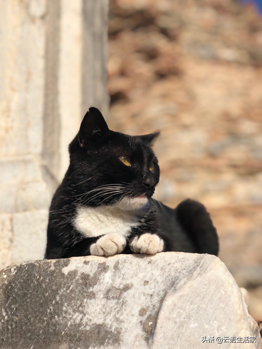 远走土耳其，我在星月之国上天入海（三）