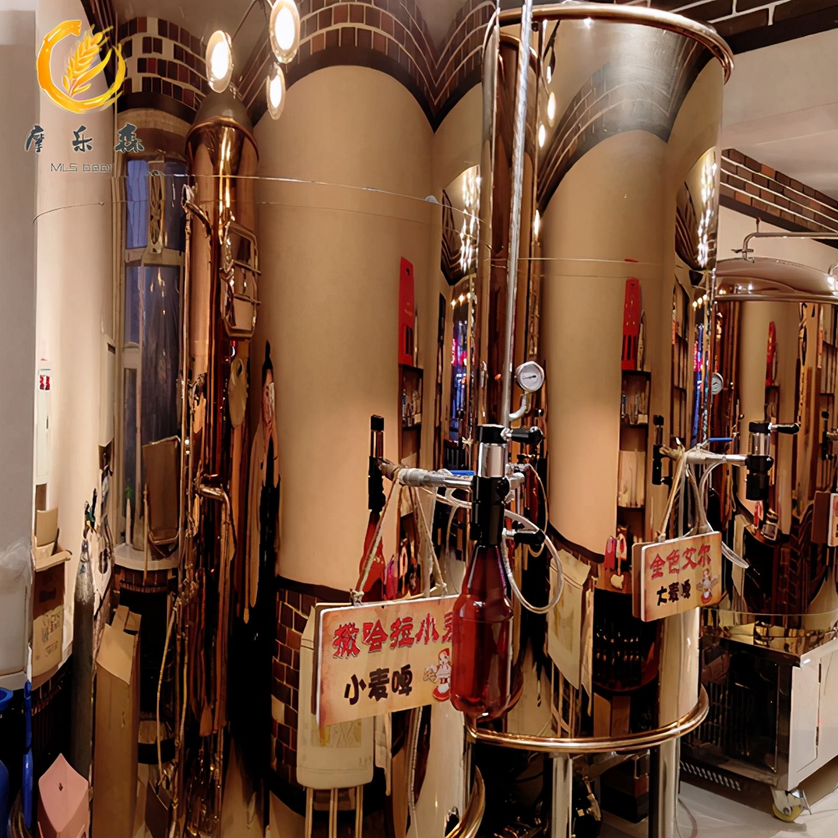 德国高端精酿啤酒设备,德国微型酿啤酒的设备