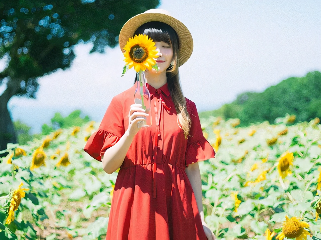 没有爱情了婚姻该怎么走下去,当你的婚姻里没有爱情怎么办