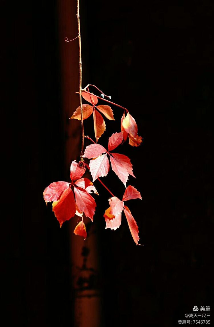 玉泉山北坞公园介绍,北坞村玉泉山