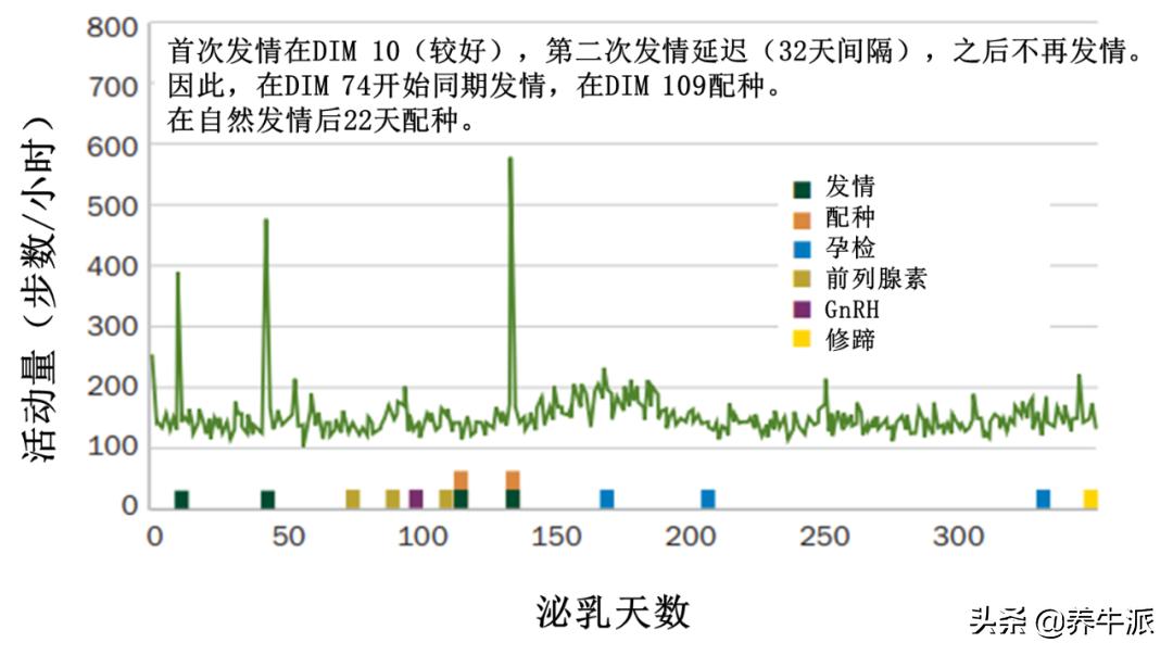 别再浪费成本!一些奶牛不需要同期发情