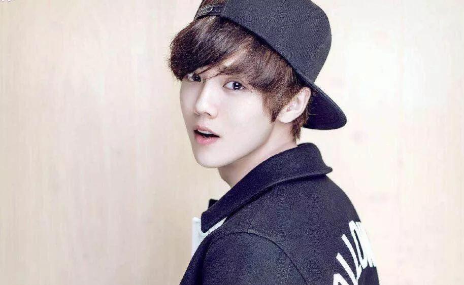 歌手鹿晗音乐作品,鹿晗是演员还是歌手