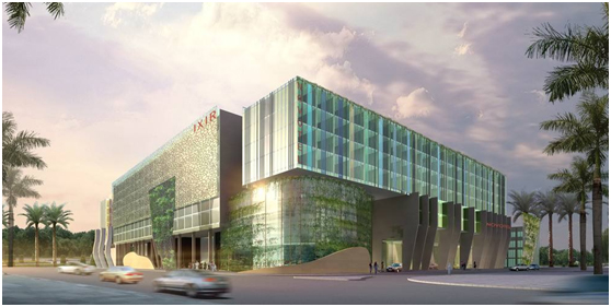 新手小白电脑入门显卡,如何选购适合的电脑显卡