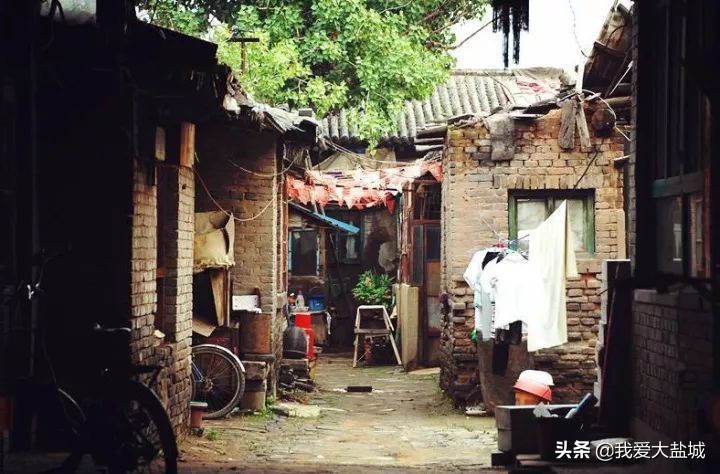 东台咸菜的做法,舌尖上的中国菜谱咸菜做法