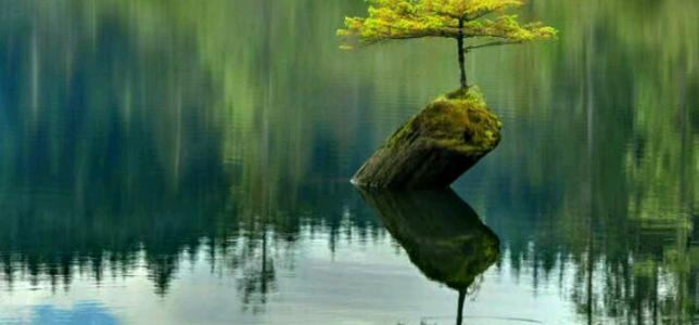 古诗词励志名句400句,中国励志古诗词大全1000首