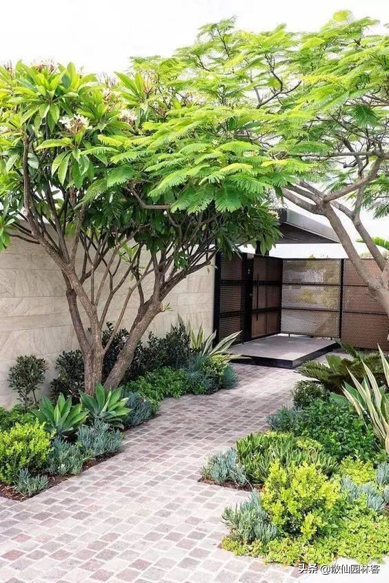 景观小院设计图片欣赏,小院入口景观设计图