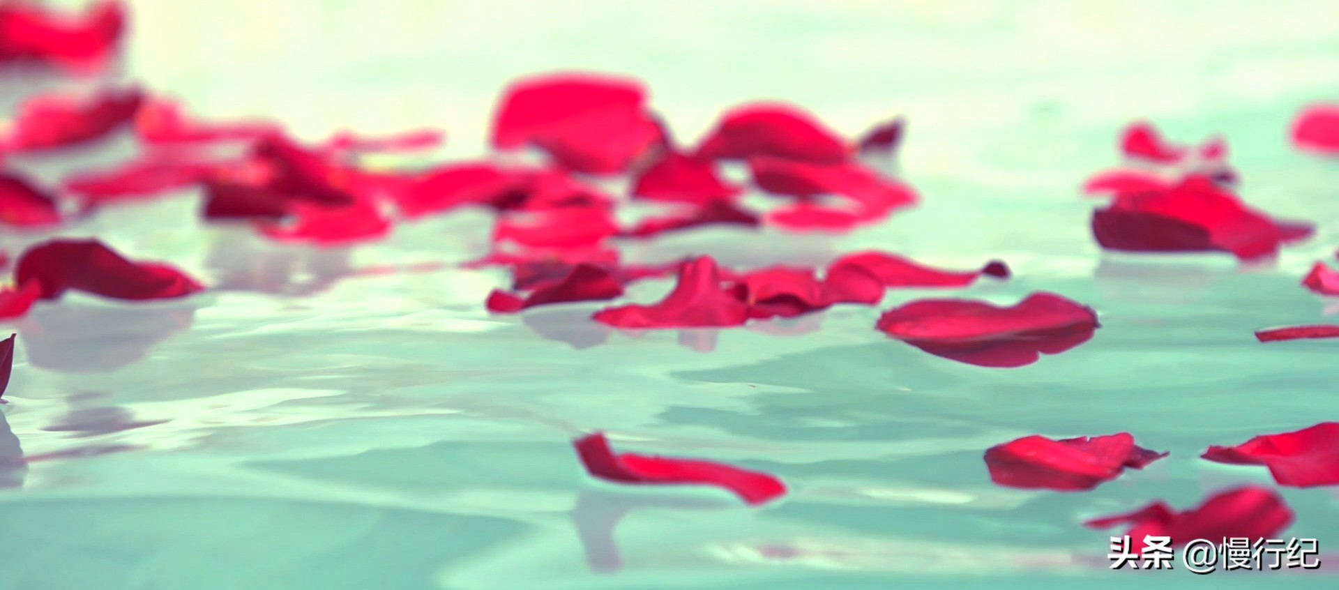 上汤温泉和唐太宗温泉哪个好,唐太宗温泉和上汤温泉