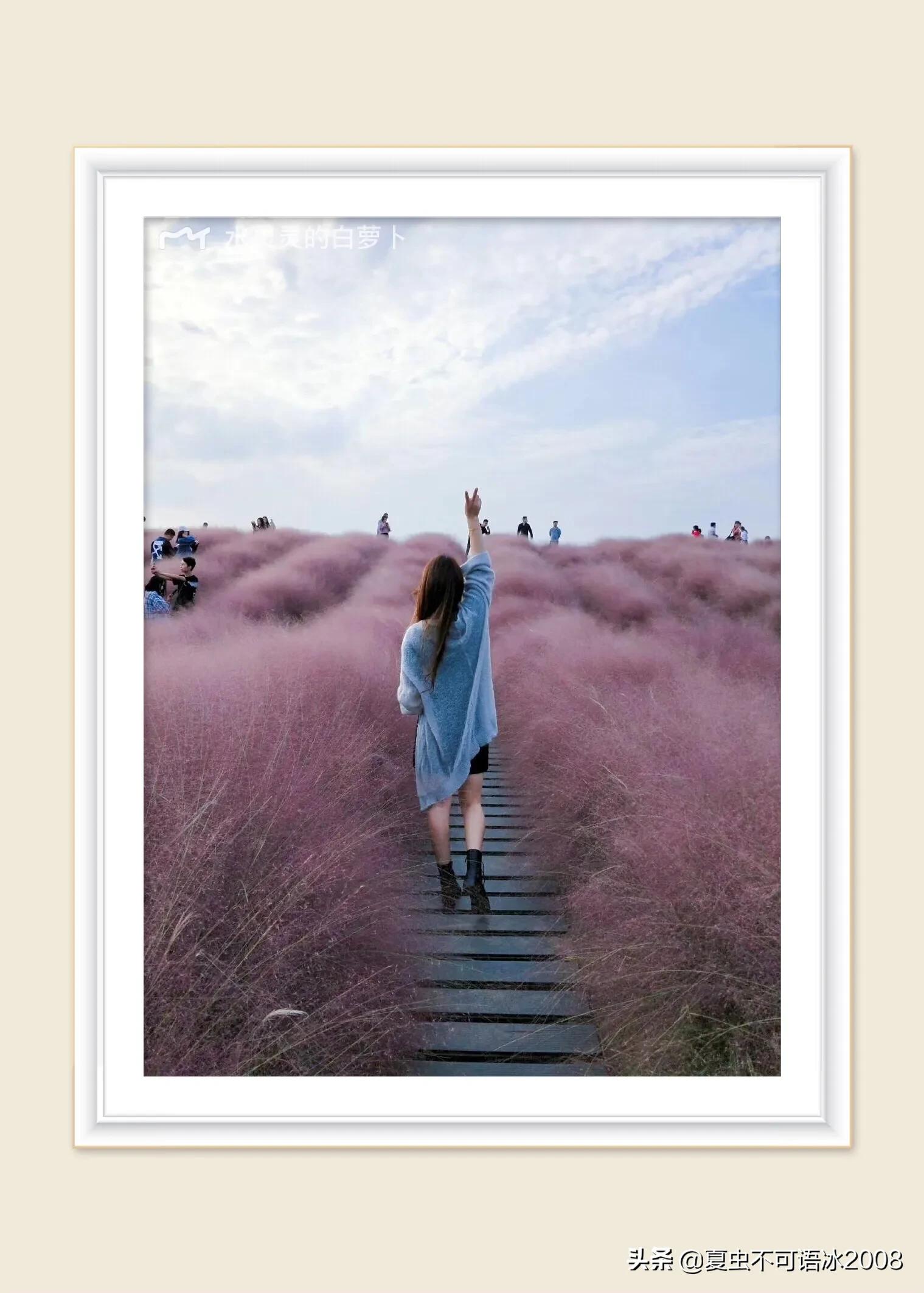 微课在物理教学中的应用,微课在物理教学中的应用论文