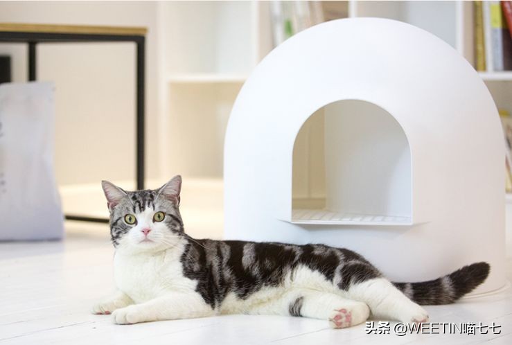 十大最鸡肋的家居神器,有哪些是鸡肋家居用品