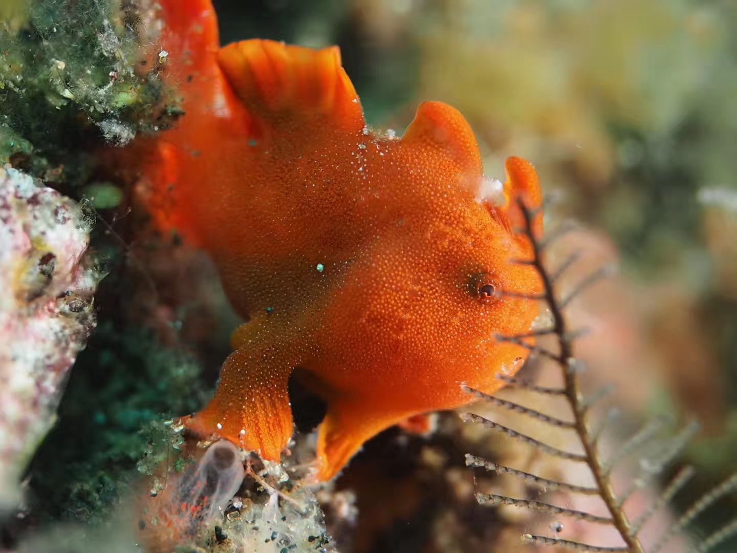 6000可以旅游的地方,6000元能去哪儿玩