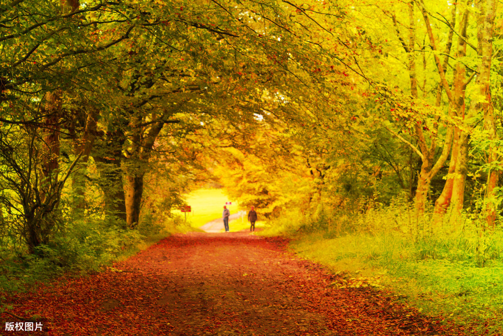 王绩野望原文,王绩野望完整版