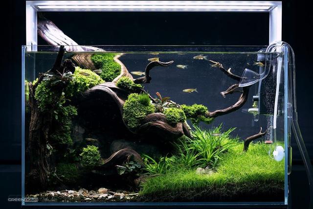 什么是老缸,老缸有裂纹怎样补救