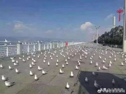 疫情爆发前后，这些景点的对比照片真是太明显了